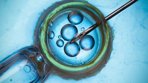Why Weight Matters For IVF