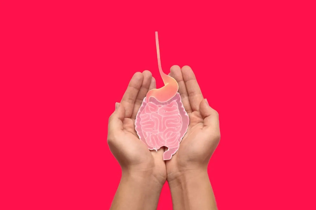 Why Gut Health is Important for Weight Loss