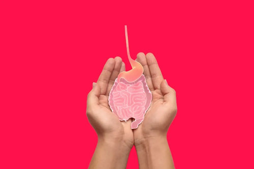 Why Gut Health is Important for Weight Loss