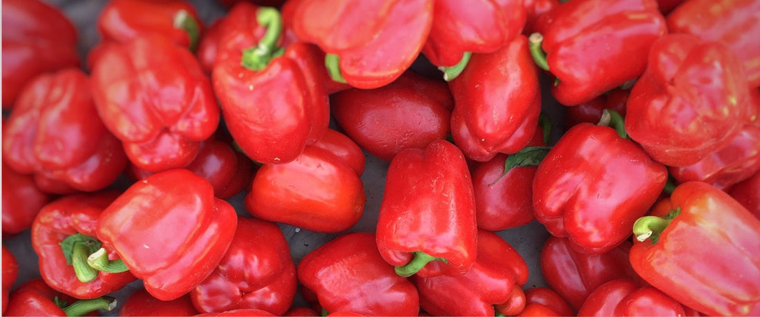 7 Diet-Friendly Snacks That Will Actually Keep You Full